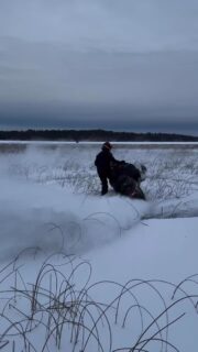 Who needs to add music to this reel when that Brutal is singing 🎶🎥: @colt801💥 Want your Ace 900 Turbo R to sound this mean? Follow the link to get yours today! https://straightlineperformance.com/product/2024-ski-doo-900-ace-900r-mach-z-turbo-ace-vari-sound-muffler/. And to check out the rest of our exhaust line up, visit straightlineperformance.com!#straightlineperformance #spi #skidoo #exhaust #fourstroke #sleds #gen5 #aftermarketproducts #performanceparts #snowmobile #ridewithus #readytoride #lynx #brutal #900 #ace